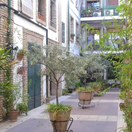 Apartamento En Casco Histórico Córdova